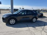 Used 2023 Ford Escape Active w/ Tech Pack #2 image 2