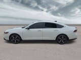 Used 2023 Honda Accord Sport image 4