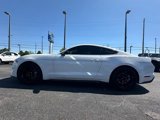 Certified 2021 Ford Mustang Coupe w/ Equipment Group 101A image 5