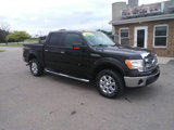 Used 2013 Ford F150 XLT w/ Luxury Equipment Group image 3
