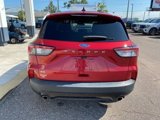 Certified 2022 Ford Escape SE w/ SE Sport Appearance Package image 5