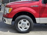 Used 2010 Ford F150 XLT image 5