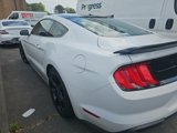 Used 2019 Ford Mustang Coupe w/ Equipment Group 101A image 4