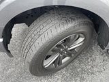 Certified 2023 Ford F150 XLT w/ Equipment Group 302A High image 5