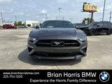 Used 2020 Ford Mustang Premium w/ Equipment Group 201A image 2
