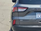 Used 2022 Ford Escape SE w/ SE Sport Appearance Package image 6