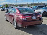 Used 2011 Honda Accord EX-L image 6