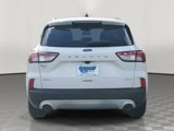 Certified 2020 Ford Escape SEL image 5