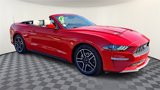 Used 2022 Ford Mustang Premium image 2