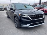 Used 2024 Kia Carnival EX image 4