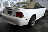 Used 1999 Ford Mustang Cobra image 6