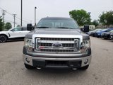 Used 2014 Ford F150 XLT w/ Equipment Group 302A Luxury image 2
