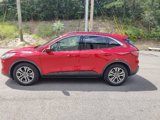 Used 2020 Ford Escape SEL image 5