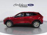 New 2025 Ford Escape Active w/ Tech Pack #1 image 6
