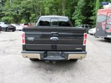 Used 2014 Ford F150 Lariat w/ Equipment Group 502A Luxury image 4