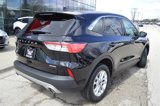 Used 2020 Ford Escape SE image 5