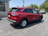 Used 2020 Ford Escape SE image 2