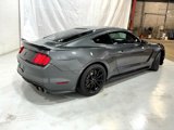 Used 2016 Ford Mustang Shelby GT350 w/ Track Package image 3