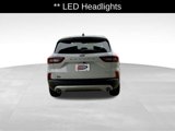New 2025 Ford Escape Active w/ Cold Weather Package image 6