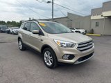 Used 2017 Ford Escape SE w/ SE Cold Weather Package image 4