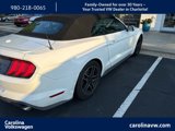 Used 2020 Ford Mustang Premium image 5