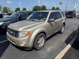 Used 2010 Ford Escape XLT image 2