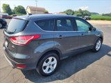 Used 2016 Ford Escape SE w/ SE Cold Weather Package image 4