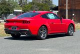 New 2025 Ford Mustang Coupe image 4
