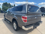 Used 2013 Ford F150 XLT w/ Luxury Equipment Group image 5