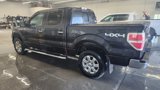 Used 2013 Ford F150 XLT w/ Luxury Equipment Group image 6