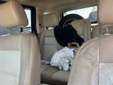 Used 2008 Ford Explorer Eddie Bauer image 4