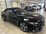 Used 2015 Ford Mustang Convertible w/ Equipment Group 051A image 2