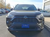 Used 2020 Toyota RAV4 XLE Premium image 3
