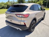 Certified 2020 Ford Escape SE Sport image 3
