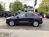 Used 2020 Ford Escape SE image 4