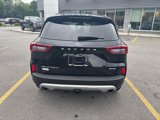 Used 2023 Ford Escape Platinum w/ Premium Technology Package image 4