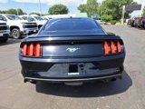 Used 2017 Ford Mustang Premium image 4