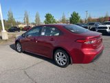 New 2025 Toyota Corolla LE image 3