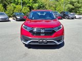 Used 2020 Honda CR-V EX-L image 2