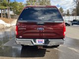 Used 2016 Ford F150 XLT w/ Equipment Group 302A Luxury image 5