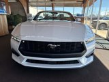 New 2025 Ford Mustang Premium image 2