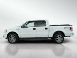 Used 2014 Ford F150 STX w/ Equipment Group 201A Mid image 2