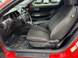 Used 2016 Ford Mustang Coupe image 3