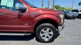 Used 2016 Ford F150 XLT w/ Equipment Group 302A Luxury image 3