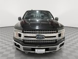 Certified 2019 Ford F150 XLT w/ Equipment Group 302A Luxury image 4