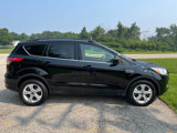 Used 2016 Ford Escape SE w/ Equipment Group 201A image 6