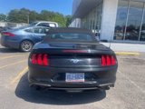 Used 2019 Ford Mustang Premium image 5