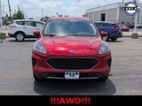 Used 2020 Ford Escape SE image 3