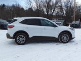 Used 2022 Ford Escape SE image 4