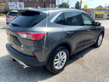 Used 2020 Ford Escape SE image 5